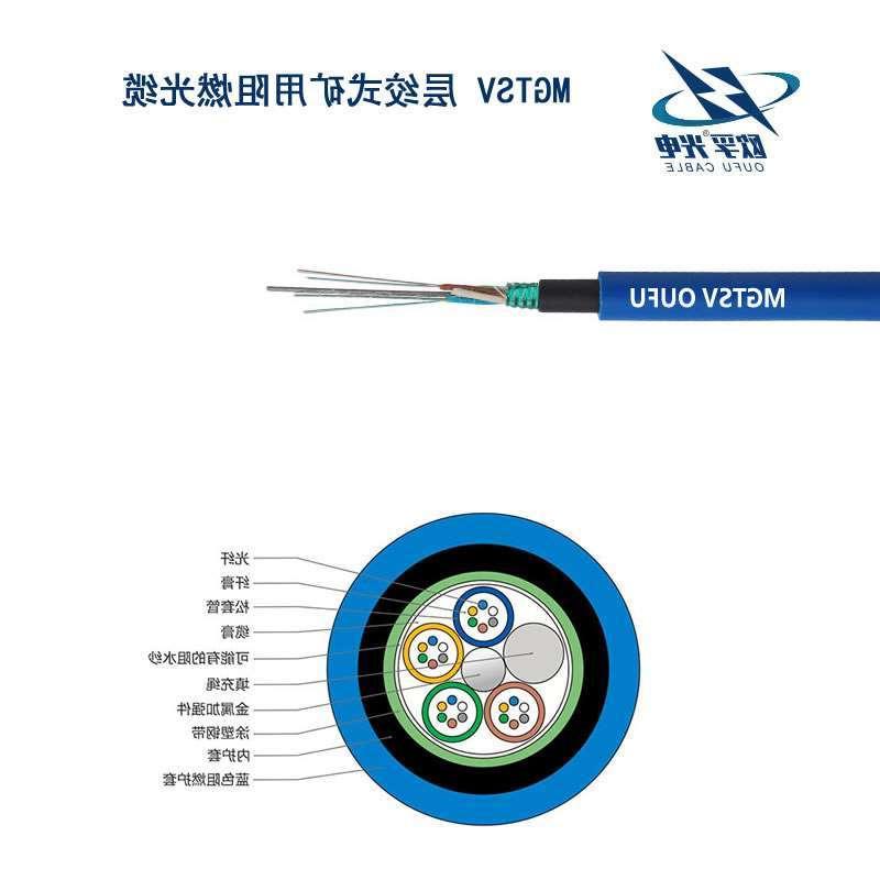 红河哈尼族彝族自治州MGTSV光缆